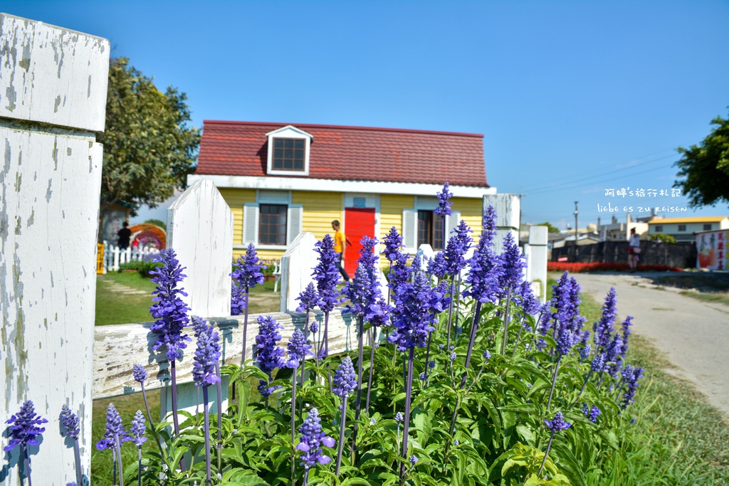 DSC_0720.jpg DSC_0720.jpg