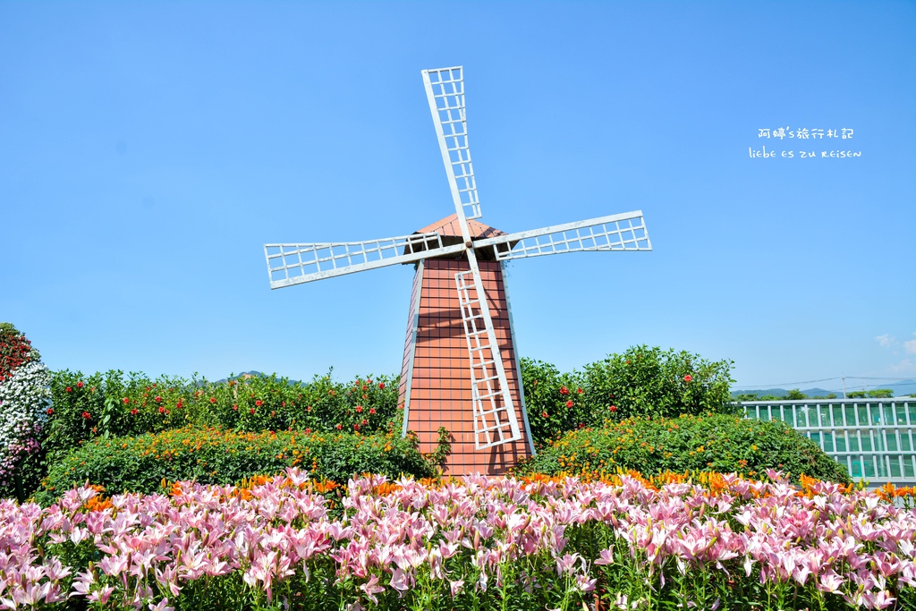 DSC_0654.jpg DSC_0654.jpg