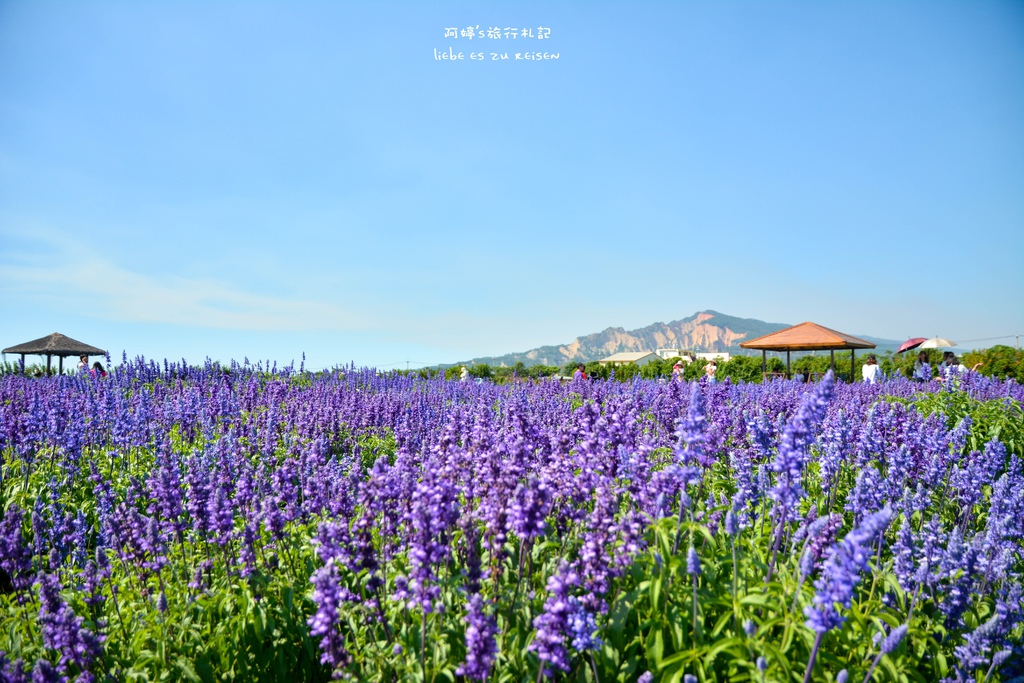 DSC_0699.jpg DSC_0699.jpg