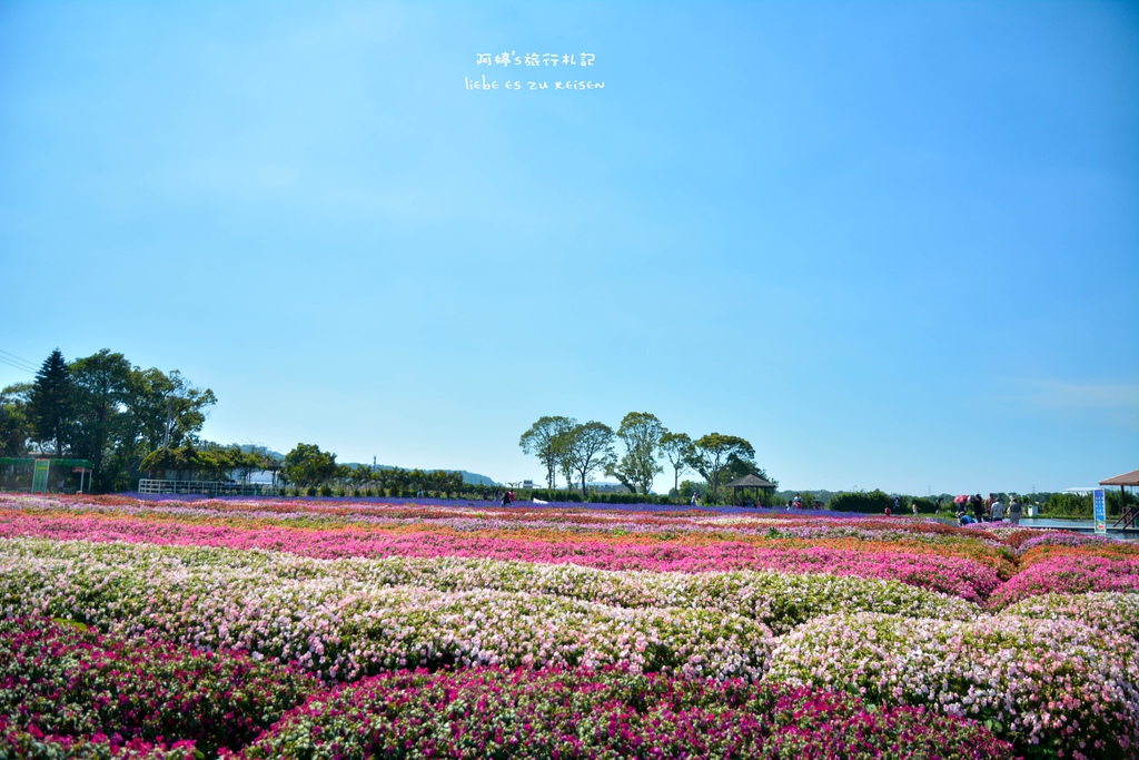 DSC_0678.jpg DSC_0678.jpg