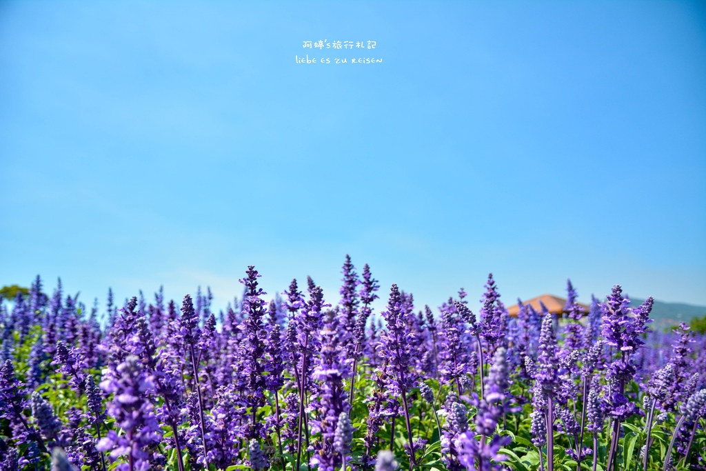 DSC_0687.jpg DSC_0687.jpg