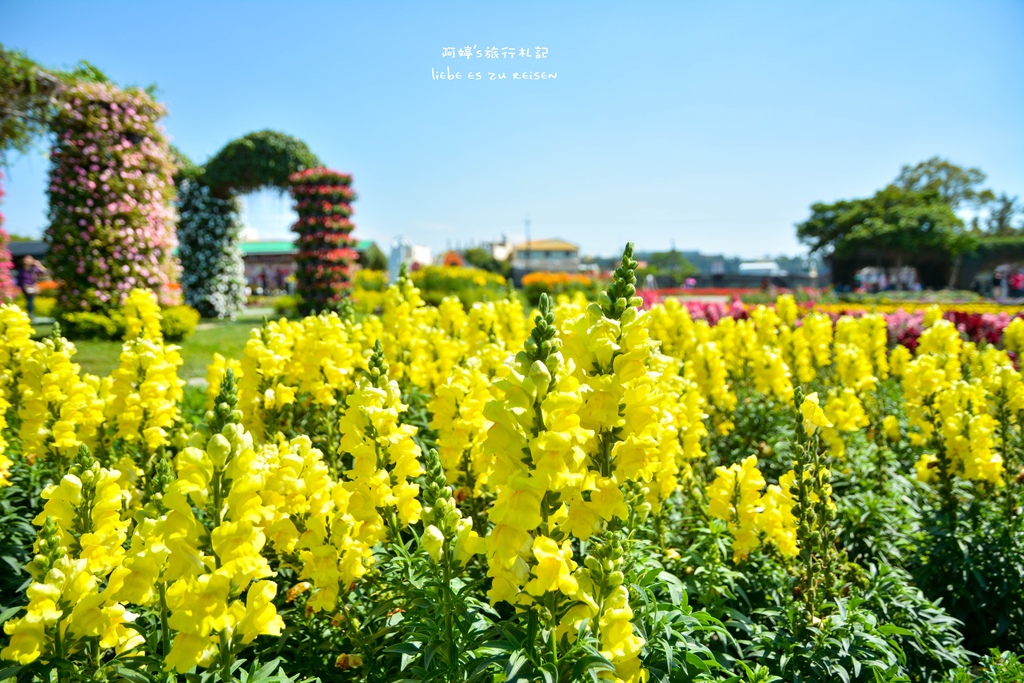 DSC_0664.jpg DSC_0664.jpg