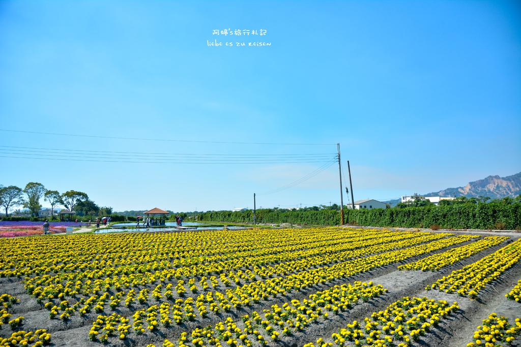 DSC_0672.jpg DSC_0672.jpg