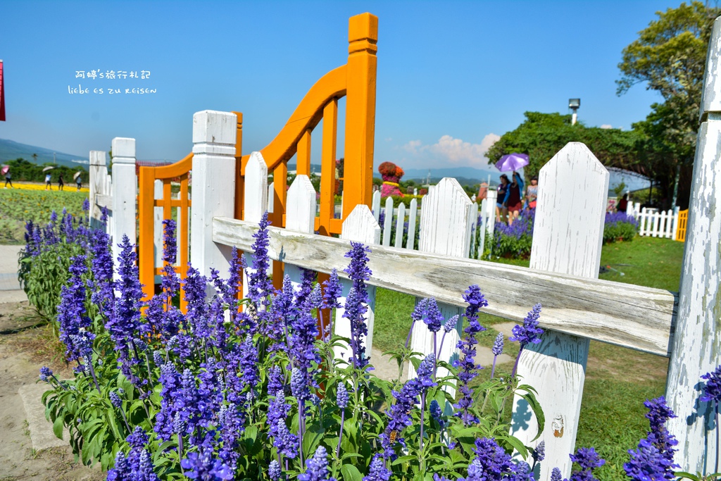 DSC_0719.jpg DSC_0719.jpg