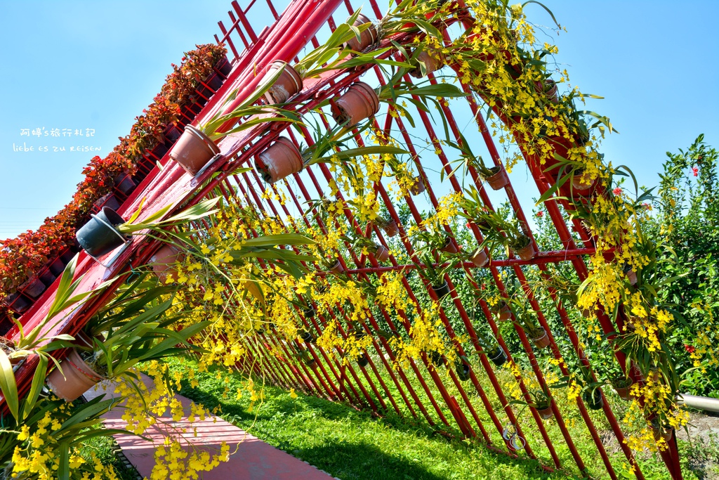 DSC_0663.jpg DSC_0663.jpg