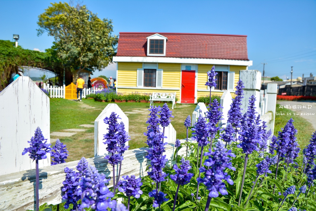 DSC_0721.jpg DSC_0721.jpg