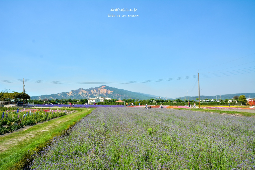 DSC_0711.jpg DSC_0711.jpg