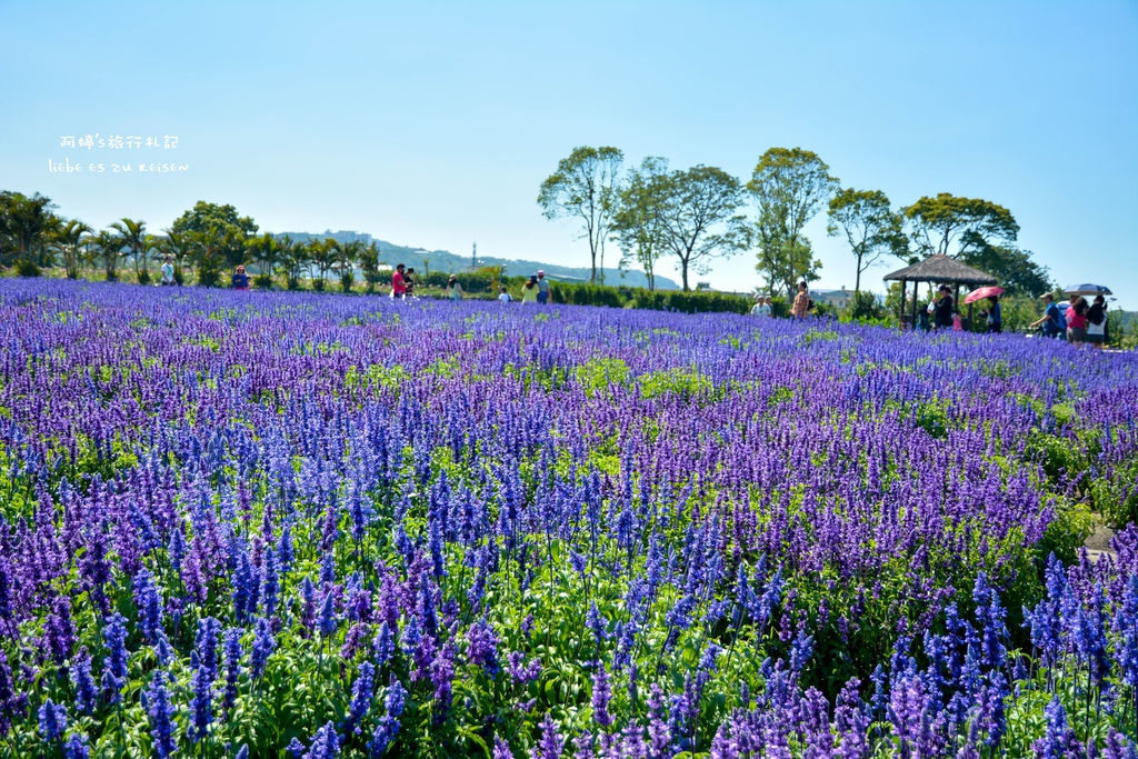 DSC_0683.jpg DSC_0683.jpg