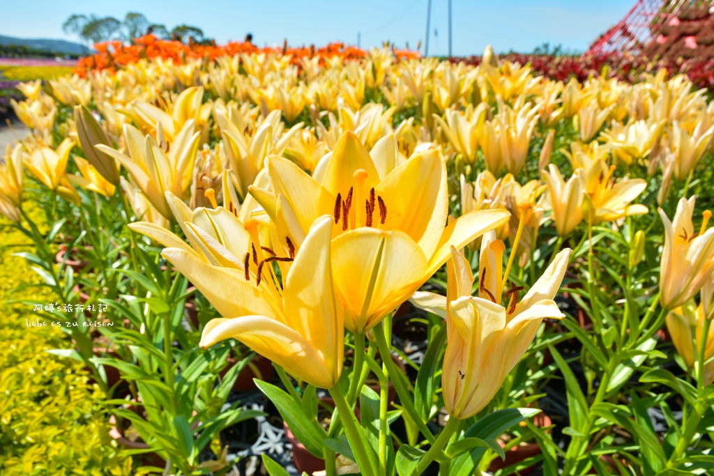 DSC_0667.jpg DSC_0667.jpg