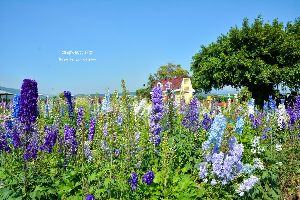 DSC_0718.jpg DSC_0718.jpg