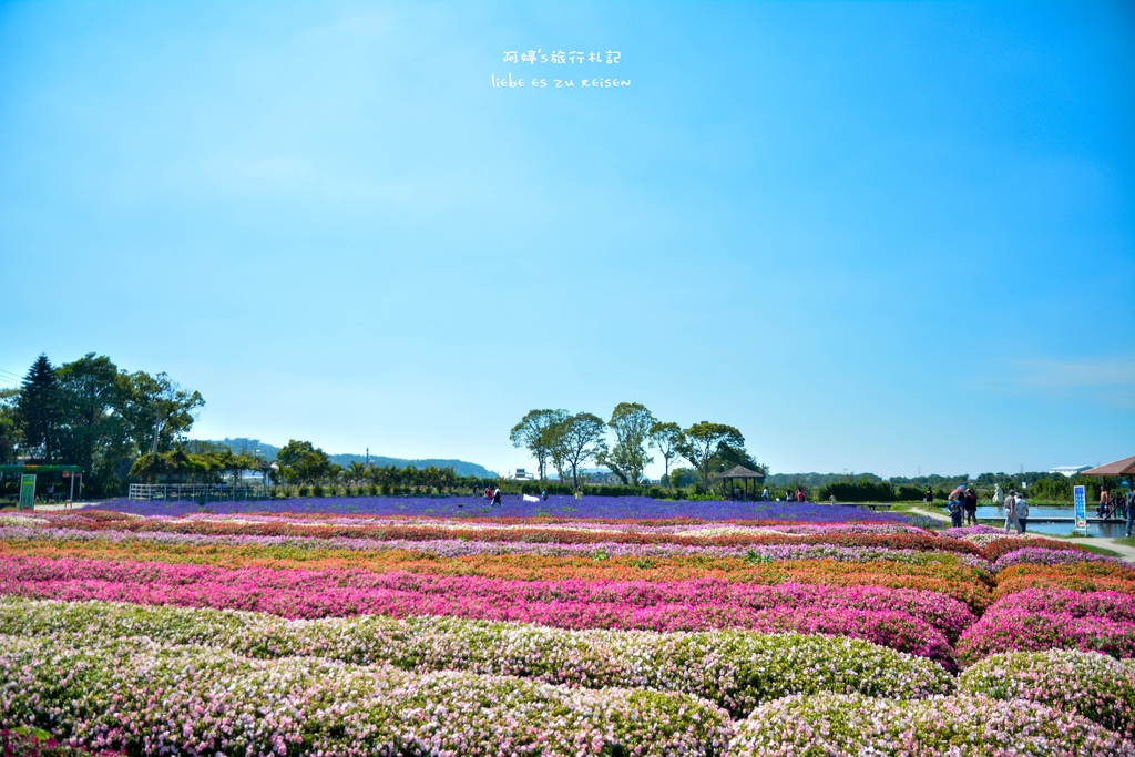 DSC_0677.jpg DSC_0677.jpg