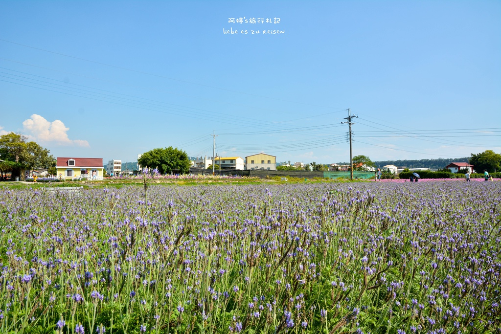 DSC_0709.jpg DSC_0709.jpg