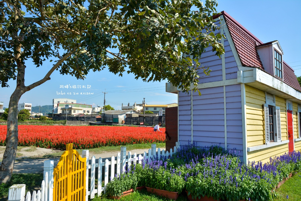 DSC_0726.jpg DSC_0726.jpg