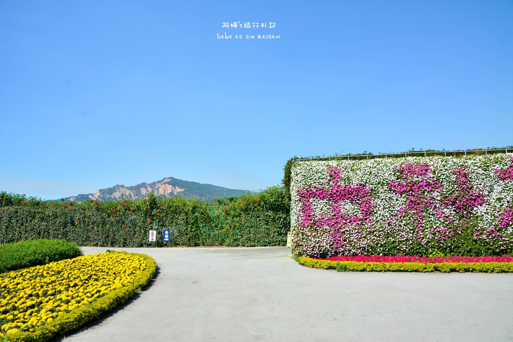 DSC_0646.jpg DSC_0646.jpg