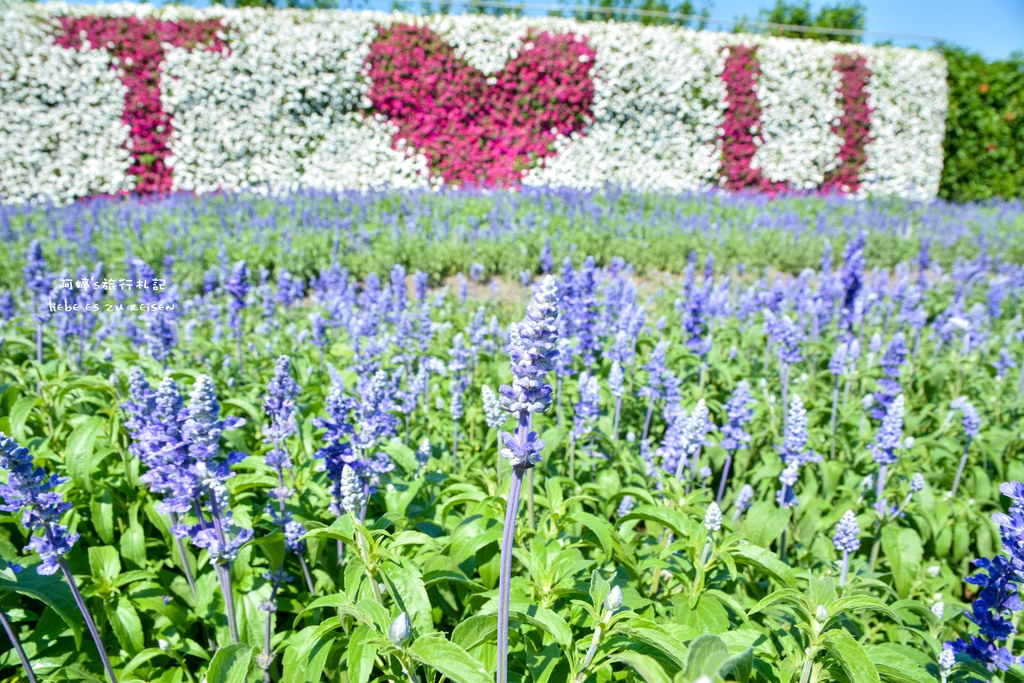 DSC_0658.jpg DSC_0658.jpg