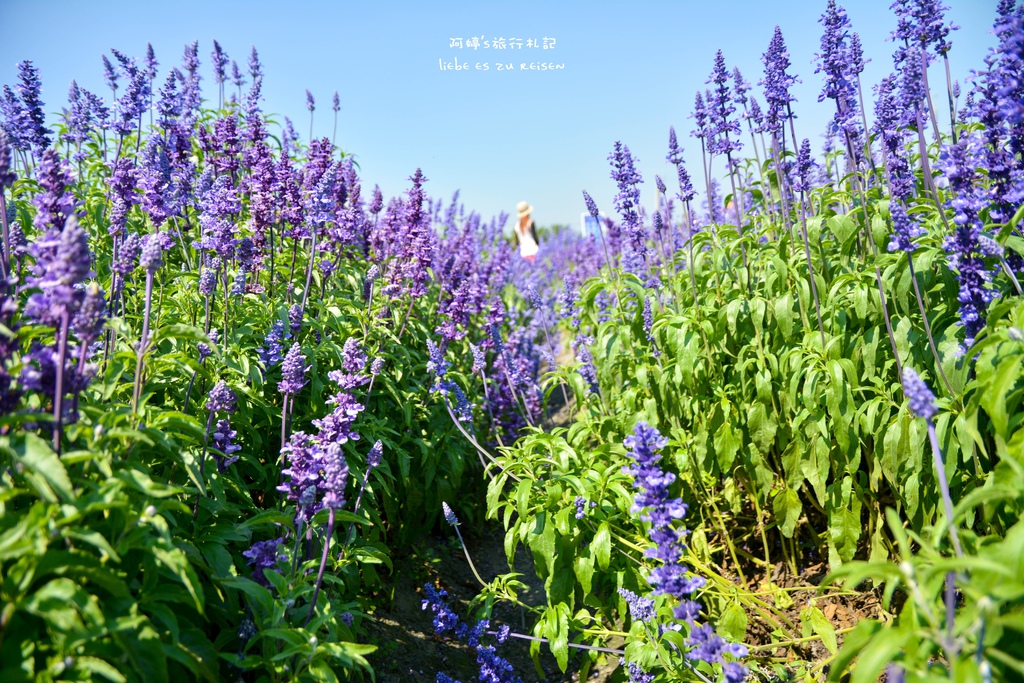 DSC_0689.jpg DSC_0689.jpg