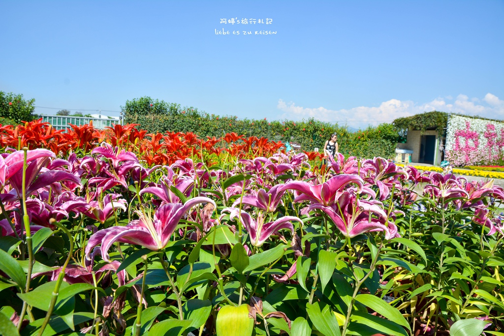 DSC_0650.jpg DSC_0650.jpg