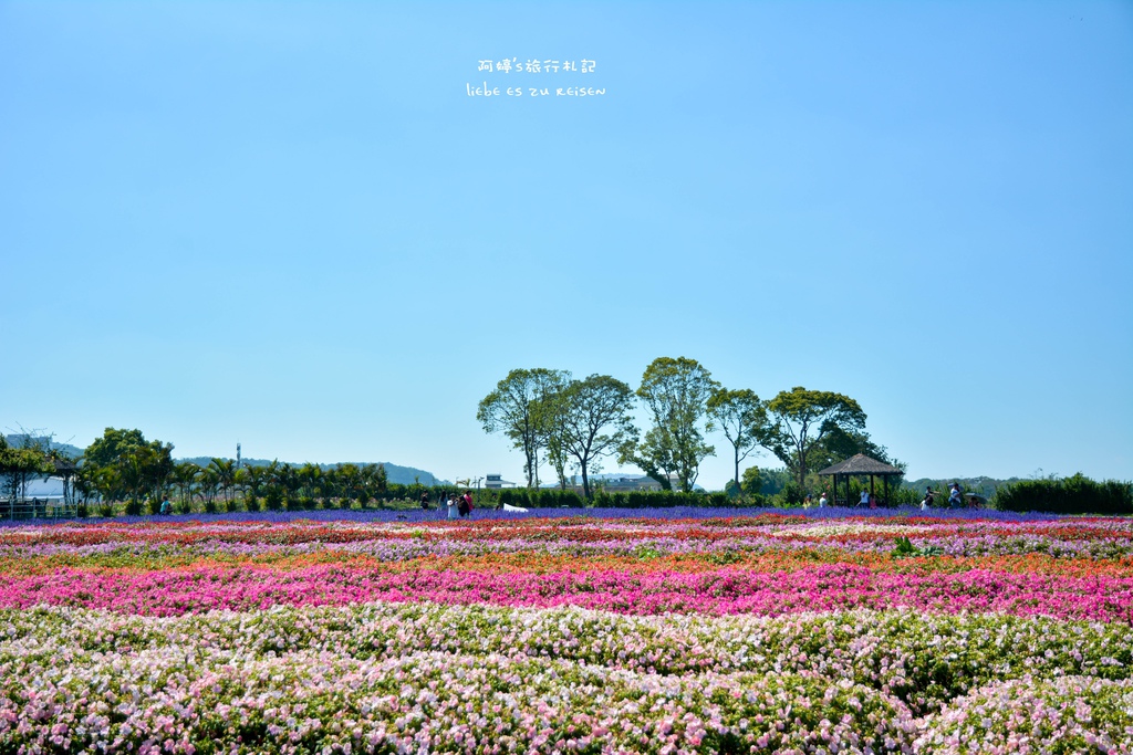 DSC_0679.jpg DSC_0679.jpg