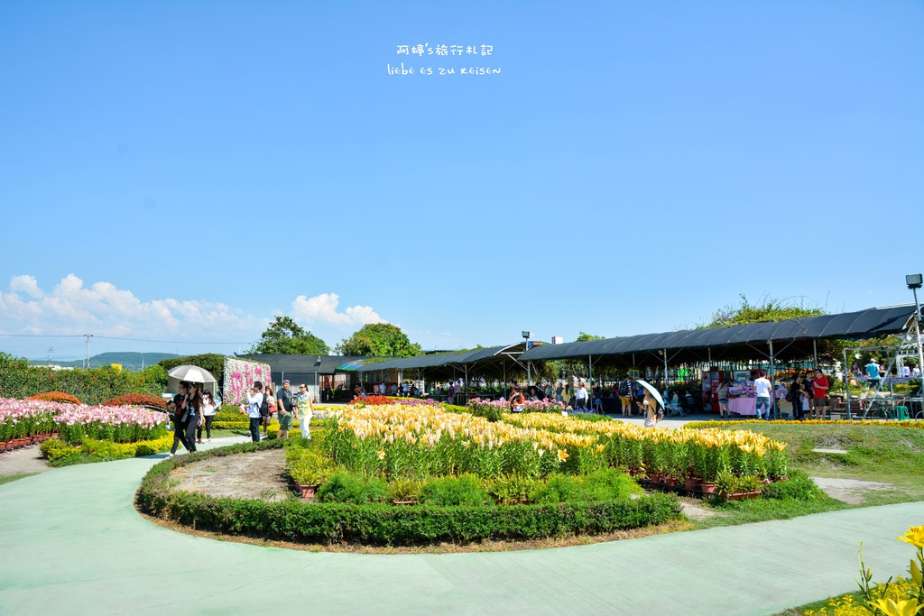 DSC_0656.jpg DSC_0656.jpg