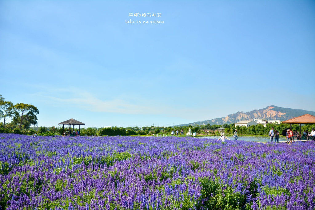 DSC_0694.jpg DSC_0694.jpg