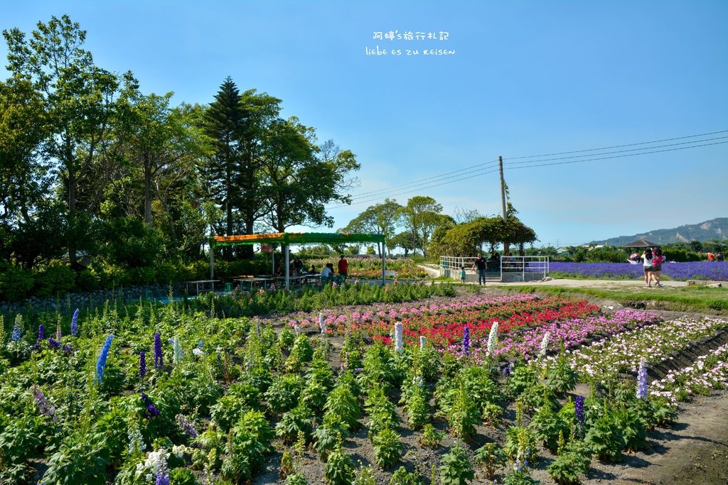 DSC_0710.jpg DSC_0710.jpg