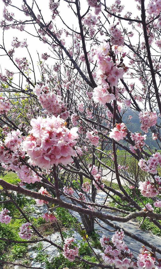 C360_2014-02-28-12-33-22-526 C360_2014-02-28-12-33-22-526