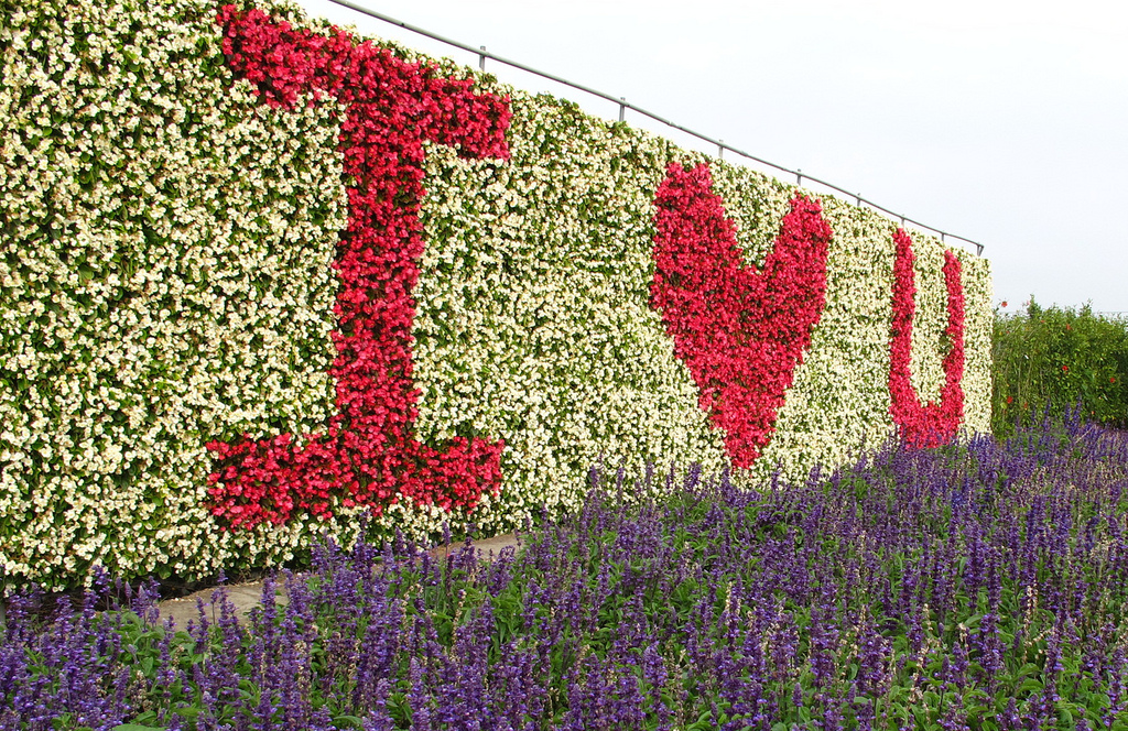 IMG_8020_副本 IMG_8020_副本