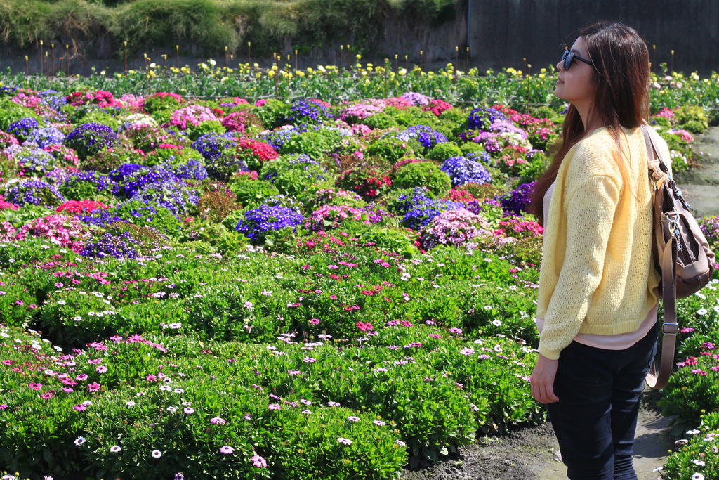 IMG_4659.JPG IMG_4659.JPG