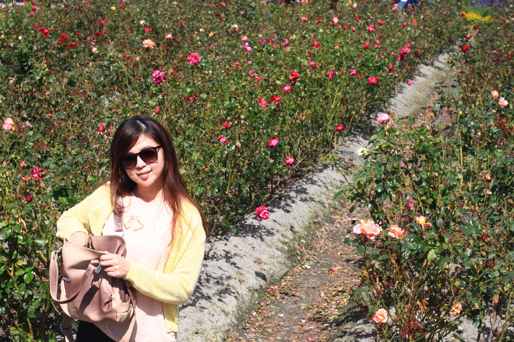 IMG_4656.JPG IMG_4656.JPG