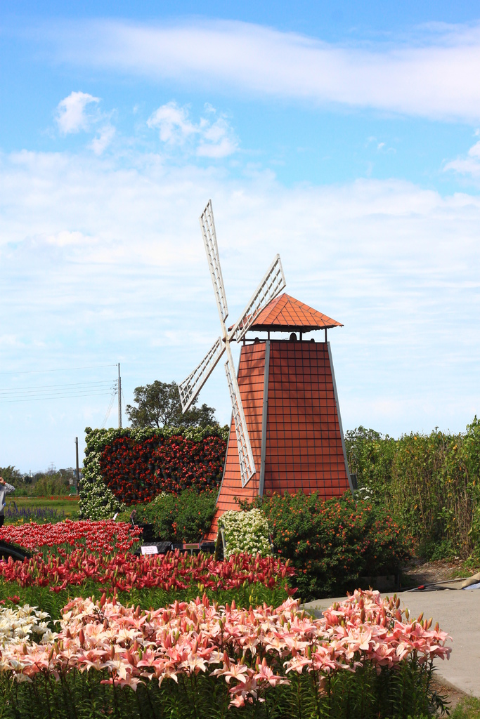 IMG_4651.JPG IMG_4651.JPG