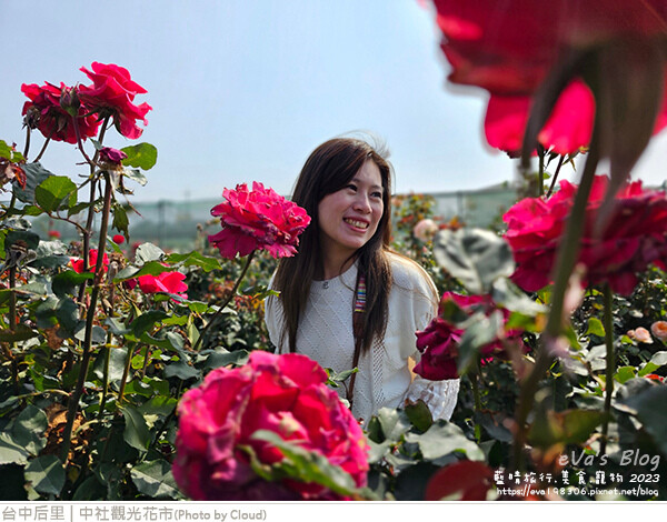 中社觀光花市-72.jpg 中社觀光花市-72.jpg