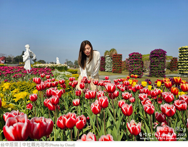 中社觀光花市-37.jpg 中社觀光花市-37.jpg
