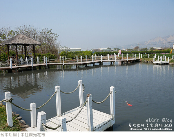 中社觀光花市-86.jpg 中社觀光花市-86.jpg