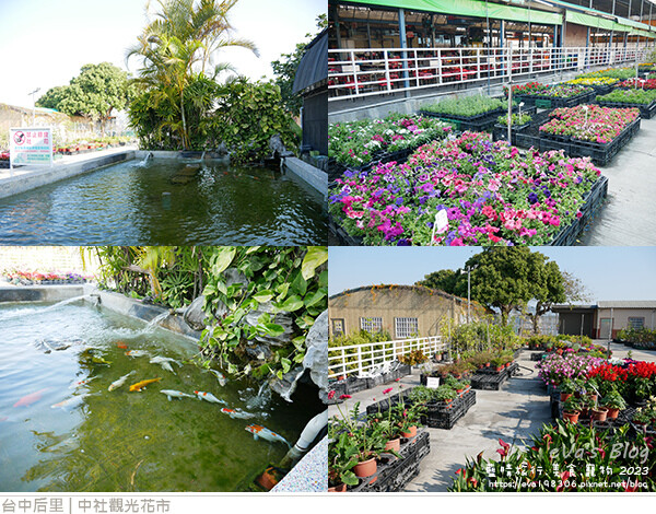 中社觀光花市-12.jpg 中社觀光花市-12.jpg