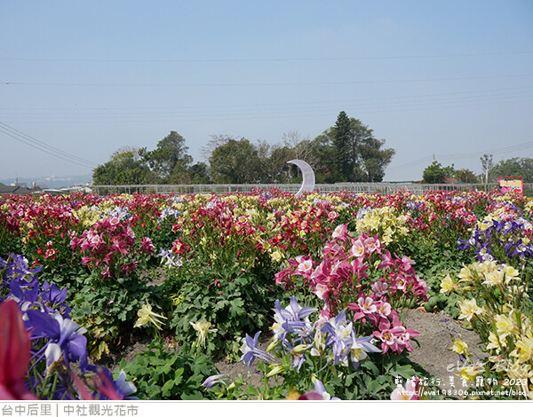 中社觀光花市-65.jpg 中社觀光花市-65.jpg