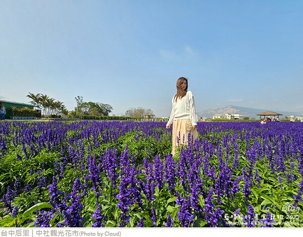 中社觀光花市-92.jpg 中社觀光花市-92.jpg