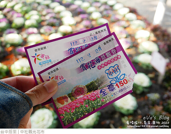 中社觀光花市-18.jpg 中社觀光花市-18.jpg