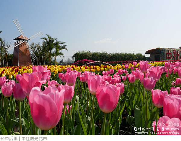 中社觀光花市-33.jpg 中社觀光花市-33.jpg