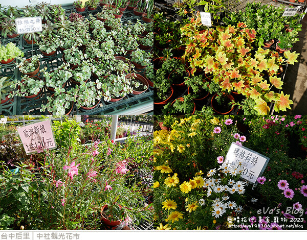 中社觀光花市-08.jpg 中社觀光花市-08.jpg