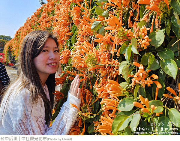 中社觀光花市-100.jpg 中社觀光花市-100.jpg