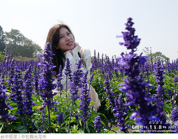 中社觀光花市-93.jpg 中社觀光花市-93.jpg