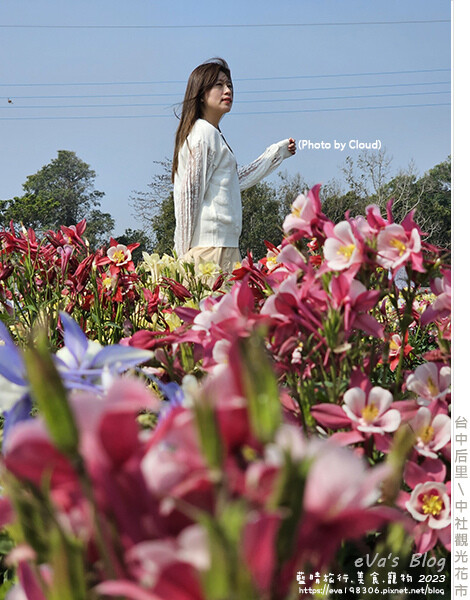 中社觀光花市-66.jpg 中社觀光花市-66.jpg