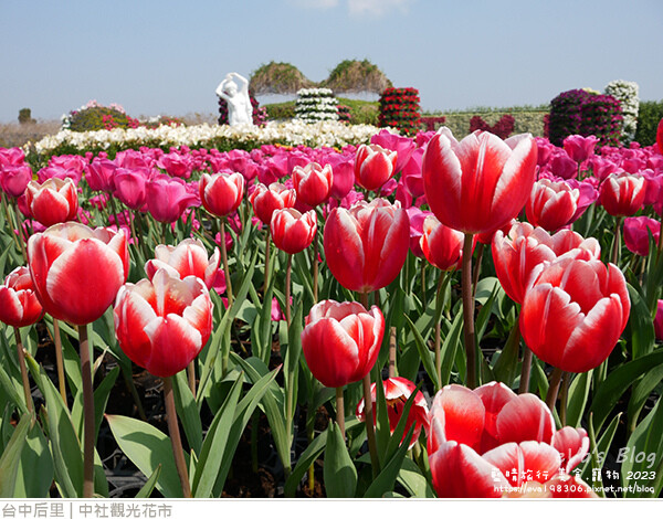 中社觀光花市-44.jpg 中社觀光花市-44.jpg