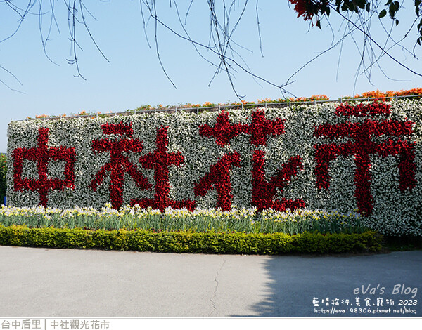 中社觀光花市-20.jpg 中社觀光花市-20.jpg