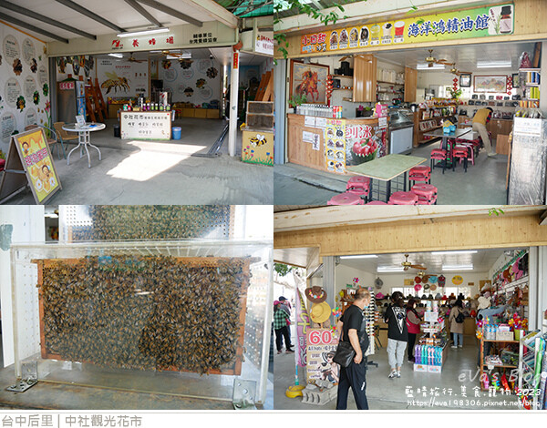 中社觀光花市-14.jpg 中社觀光花市-14.jpg