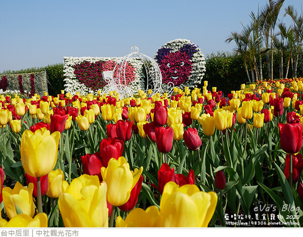 中社觀光花市-29.jpg 中社觀光花市-29.jpg