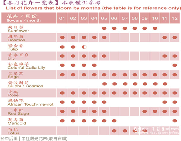 中社觀光花市-21.jpg 中社觀光花市-21.jpg