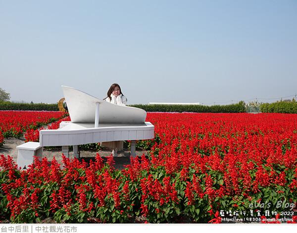 中社觀光花市-84.jpg 中社觀光花市-84.jpg