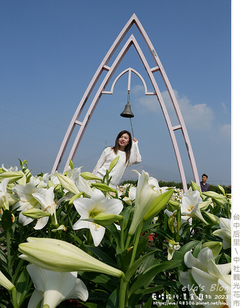 中社觀光花市-59.jpg 中社觀光花市-59.jpg