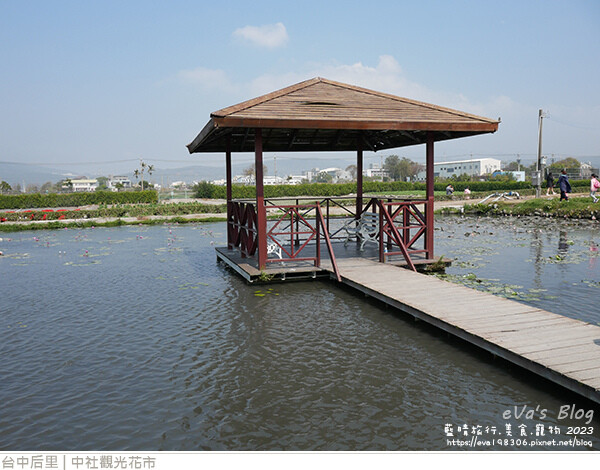 中社觀光花市-74.jpg 中社觀光花市-74.jpg